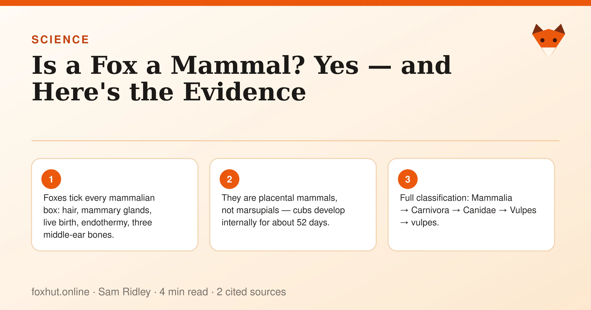 Infographic: Is a Fox a Mammal? Yes — and Here's the Evidence. Key points: Foxes tick every mammalian box: hair, mammary glands, live birth, endothermy, three middle-ear bones.; They are placental mammals, not marsupials — cubs develop internally for about 52 days.; Full classification: Mammalia → Carnivora → Canidae → Vulpes → vulpes.