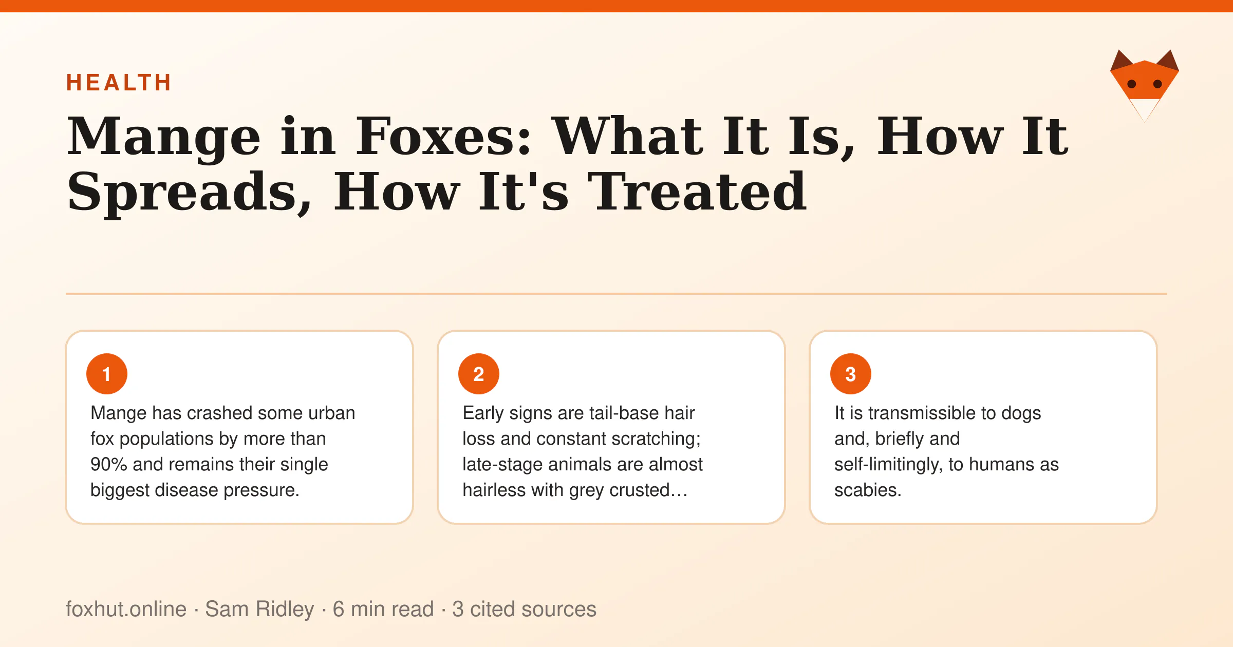 Infographic: Mange in Foxes: What It Is, How It Spreads, How It's Treated. Key points: Mange has crashed some urban fox populations by more than 90% and remains their single biggest disease pressure.; Early signs are tail-base hair loss and constant scratching; late-stage animals are almost hairless with grey crusted…; It is transmissible to dogs and, briefly and self-limitingly, to humans as scabies.