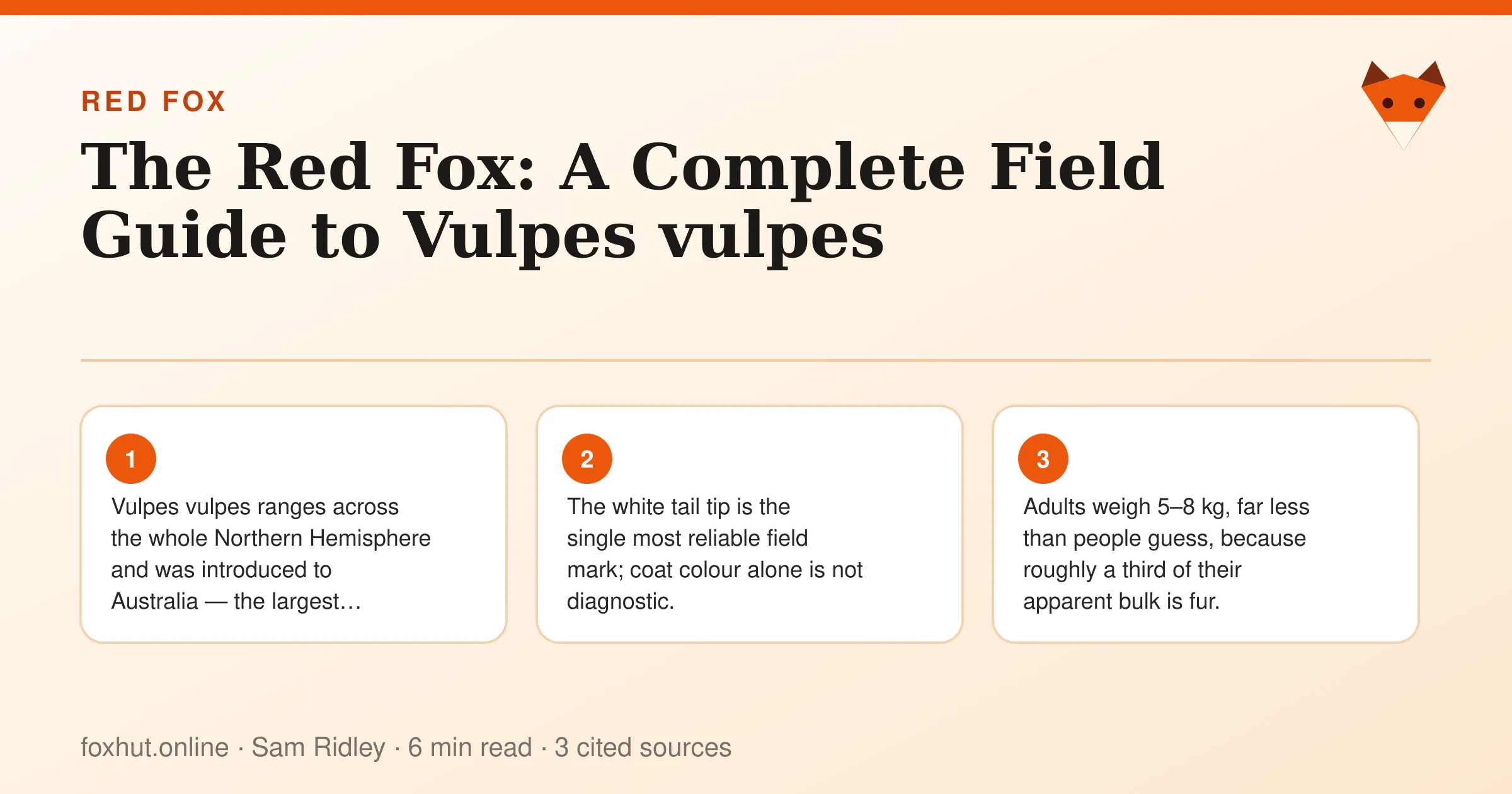 Infographic: The Red Fox: A Complete Field Guide to Vulpes vulpes. Key points: Vulpes vulpes ranges across the whole Northern Hemisphere and was introduced to Australia — the largest natural range…; The white tail tip is the single most reliable field mark; coat colour alone is not diagnostic.; Adults weigh 5–8 kg, far less than people guess, because roughly a third of their apparent bulk is fur.