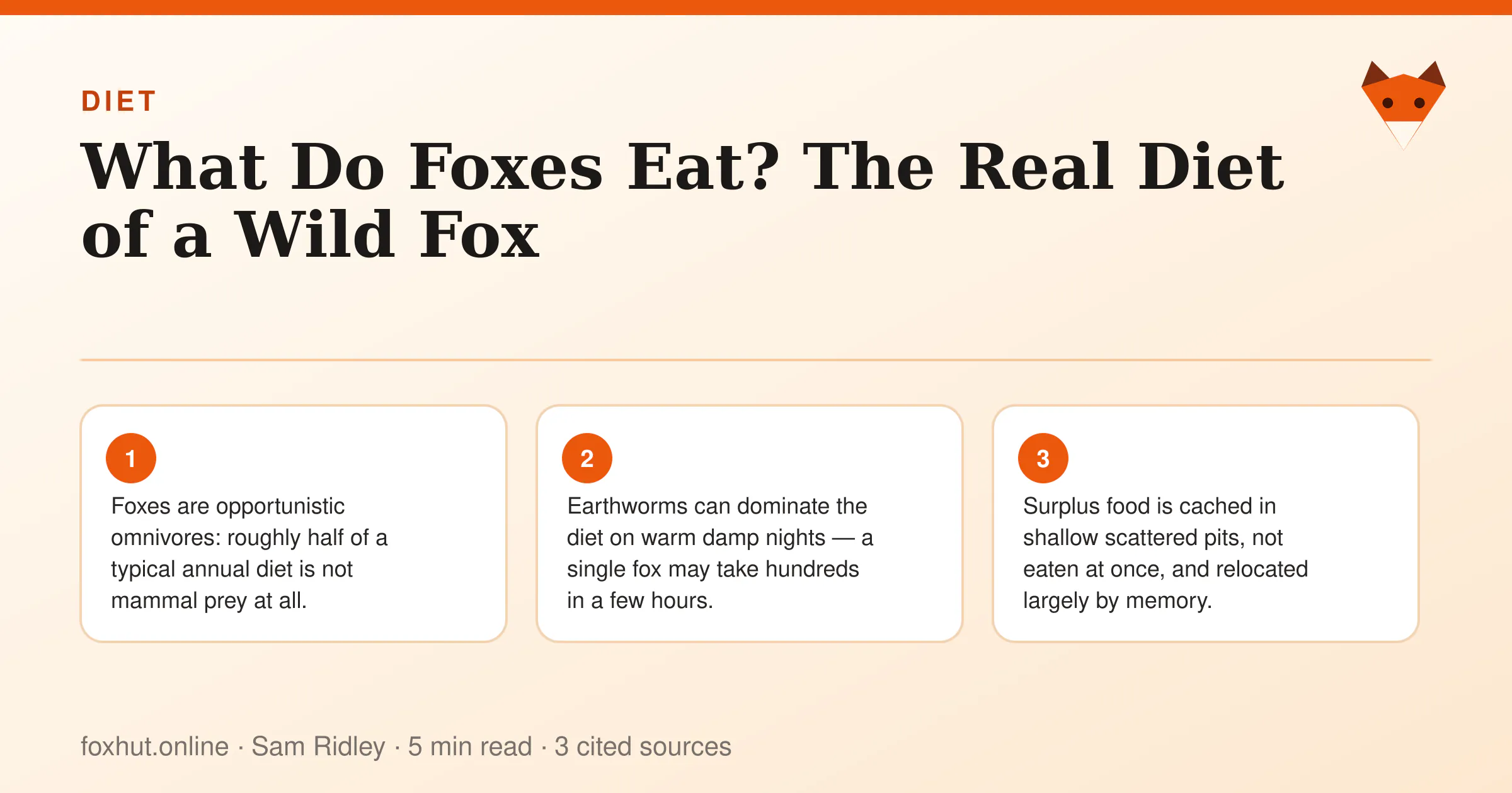 Infographic: What Do Foxes Eat? The Real Diet of a Wild Fox. Key points: Foxes are opportunistic omnivores: roughly half of a typical annual diet is not mammal prey at all.; Earthworms can dominate the diet on warm damp nights — a single fox may take hundreds in a few hours.; Surplus food is cached in shallow scattered pits, not eaten at once, and relocated largely by memory.