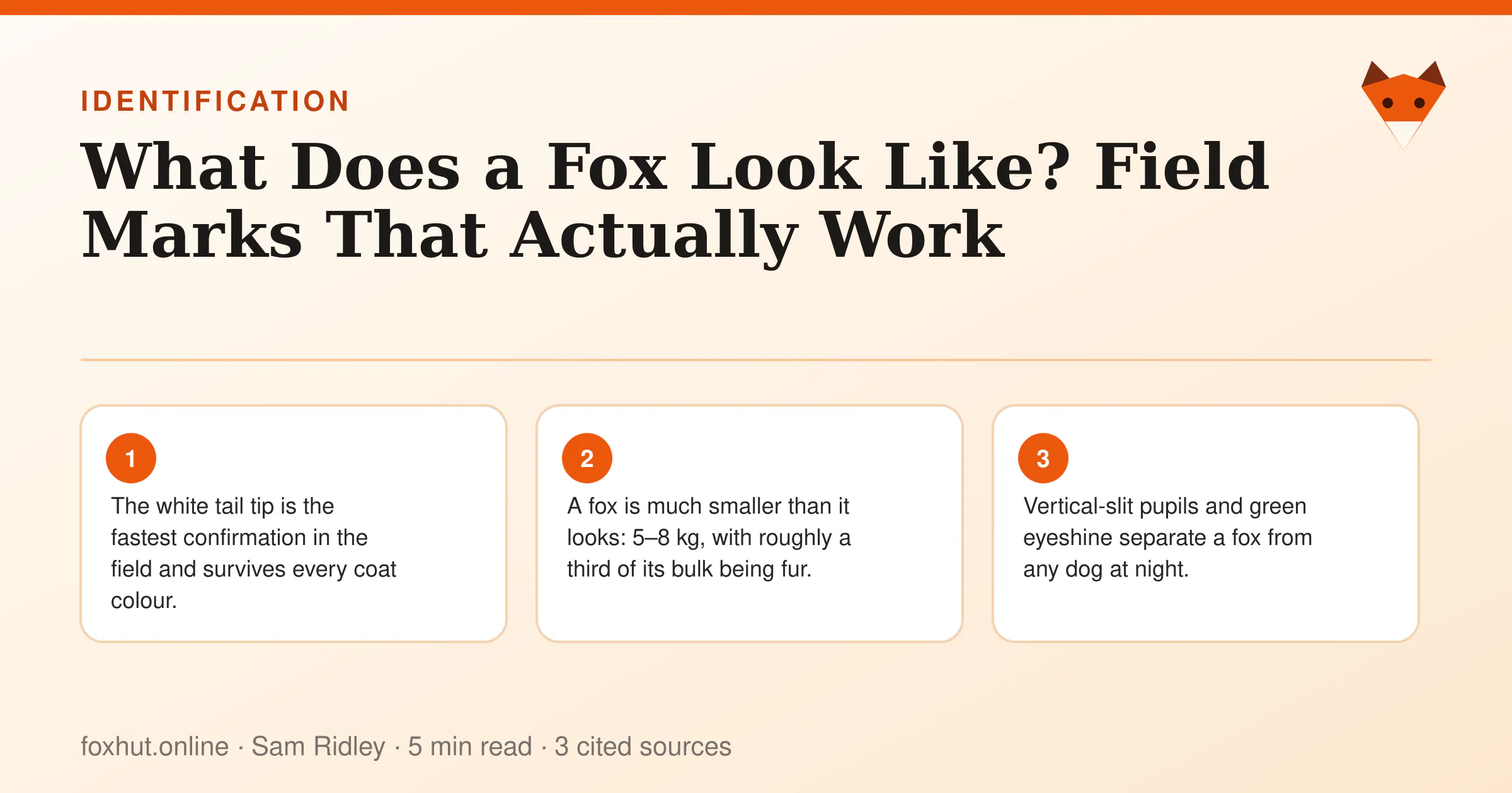 Infographic: What Does a Fox Look Like? Field Marks That Actually Work. Key points: The white tail tip is the fastest confirmation in the field and survives every coat colour.; A fox is much smaller than it looks: 5–8 kg, with roughly a third of its bulk being fur.; Vertical-slit pupils and green eyeshine separate a fox from any dog at night.
