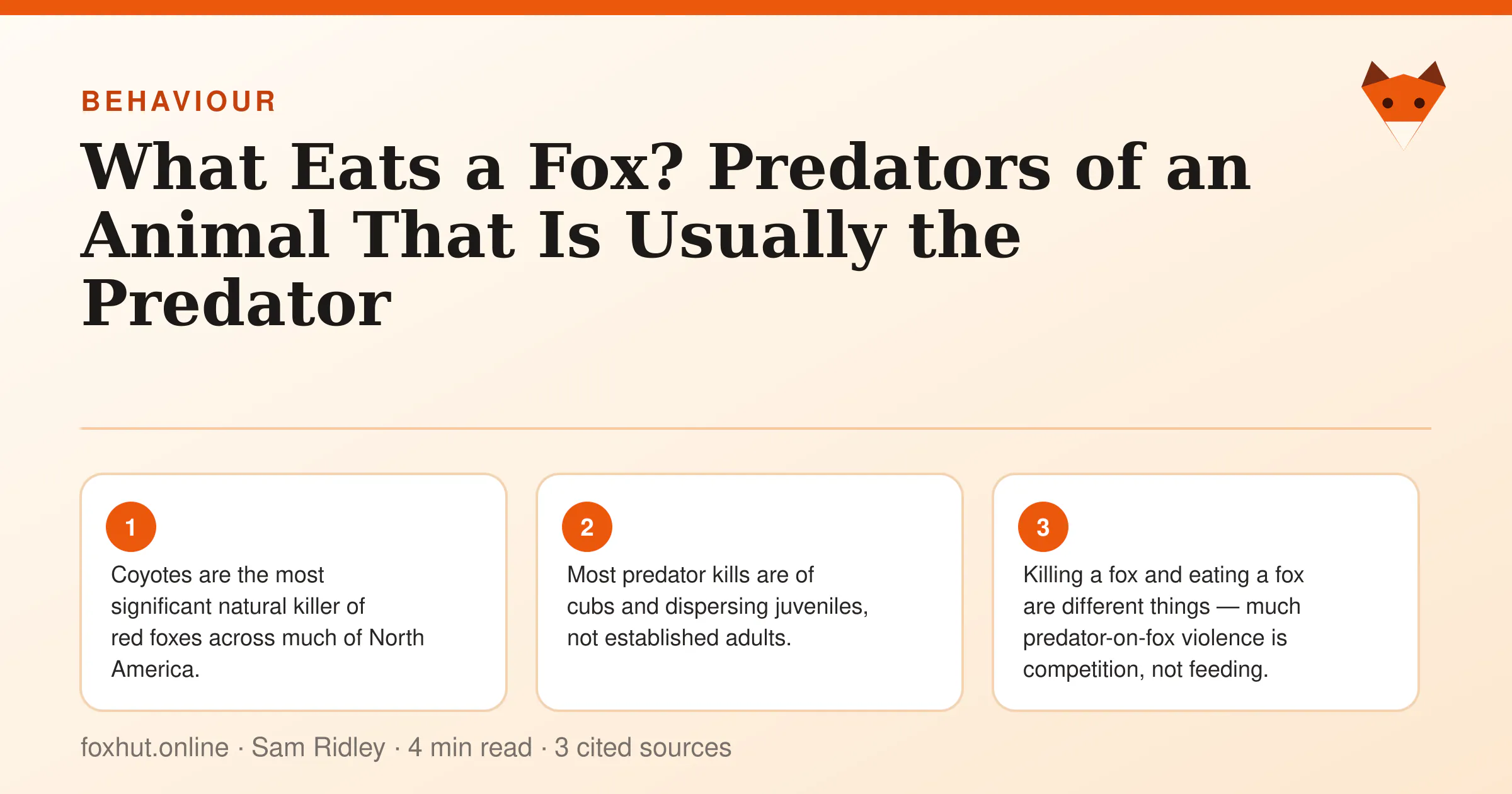 Infographic: What Eats a Fox? Predators of an Animal That Is Usually the Predator. Key points: Coyotes are the most significant natural killer of red foxes across much of North America.; Most predator kills are of cubs and dispersing juveniles, not established adults.; Killing a fox and eating a fox are different things — much predator-on-fox violence is competition, not feeding.