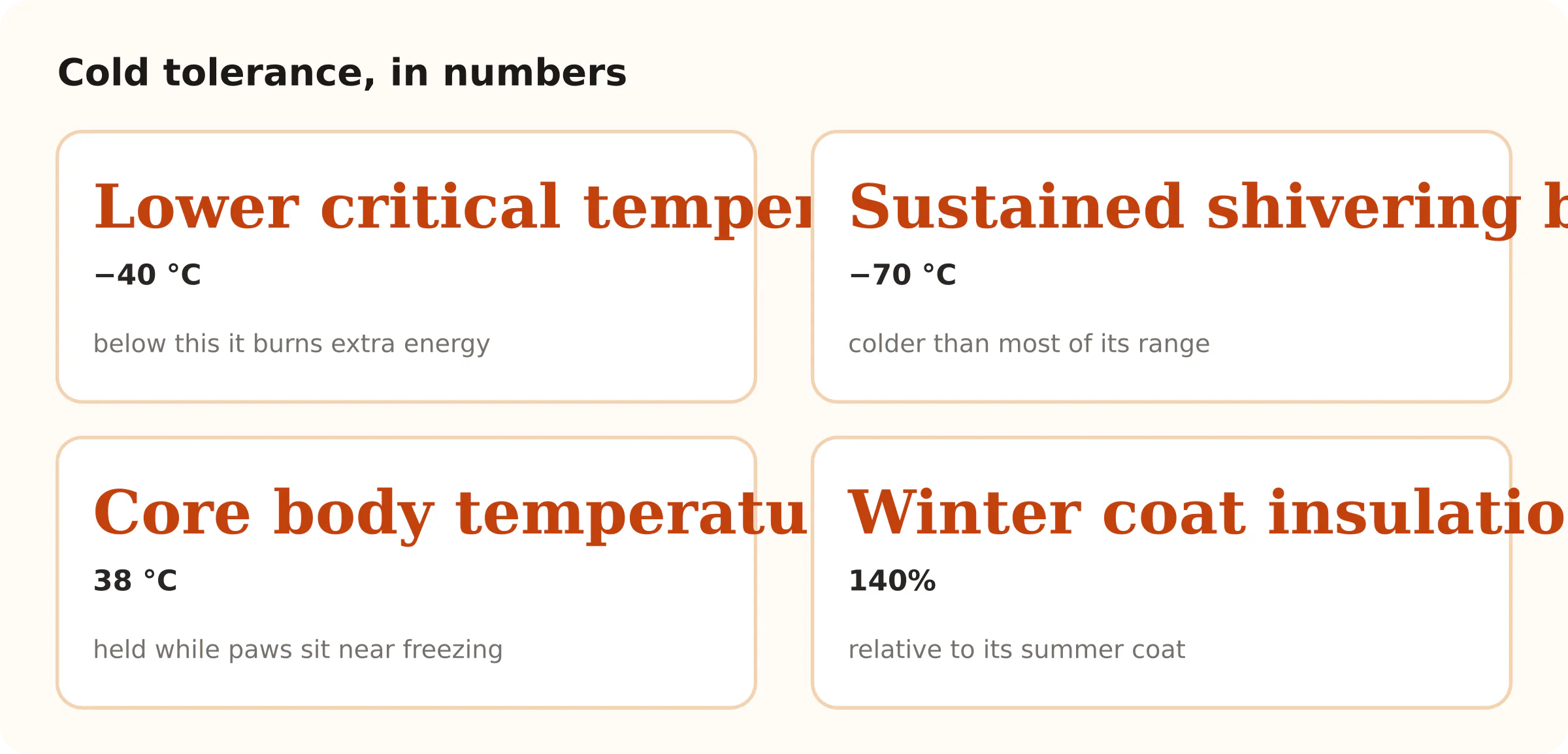 Cold tolerance, in numbers. Lower critical temperature −40 °C; Sustained shivering begins −70 °C; Core body temperature 38 °C; Winter coat insulation 140%