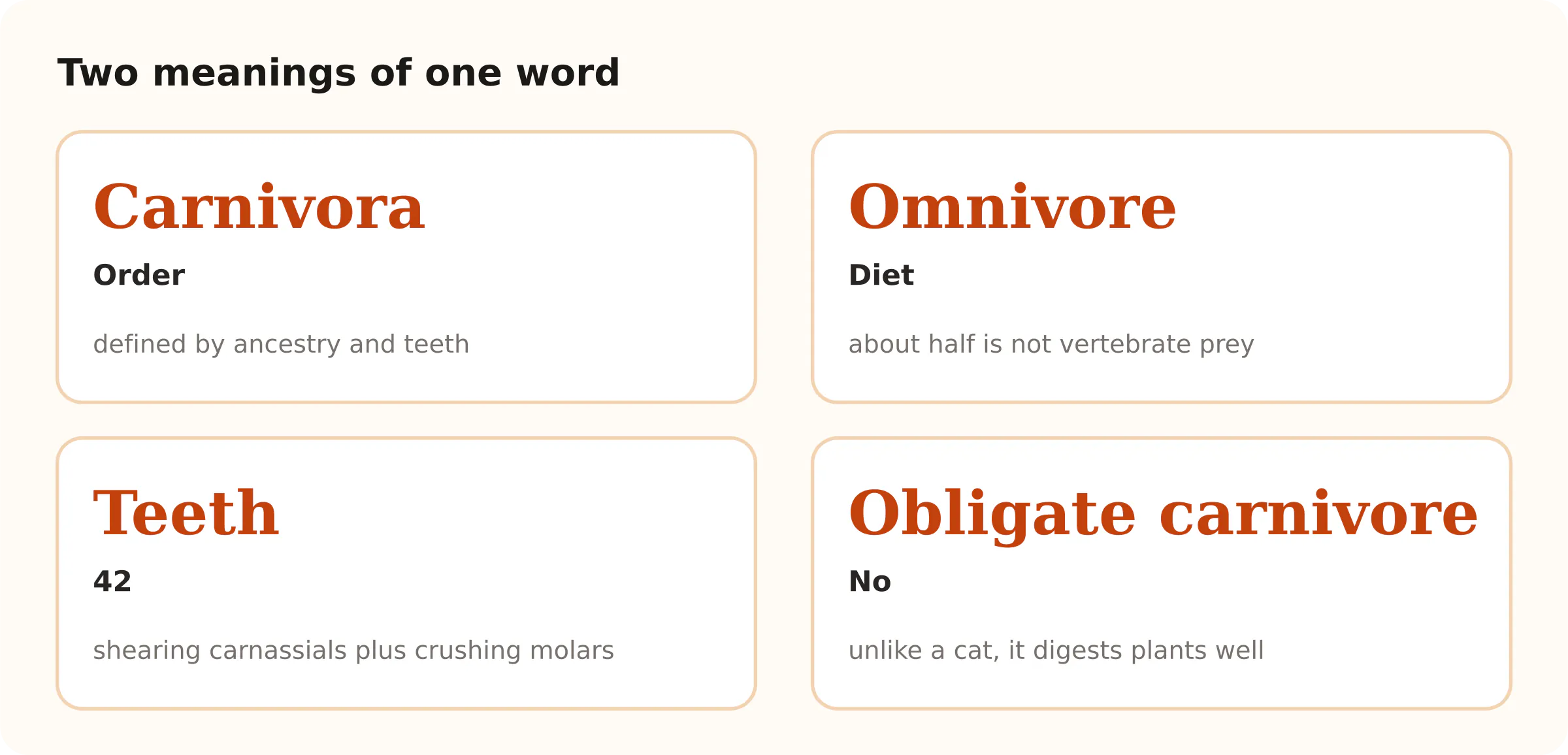 Two meanings of one word. Carnivora Order; Omnivore Diet; Teeth 42; Obligate carnivore No