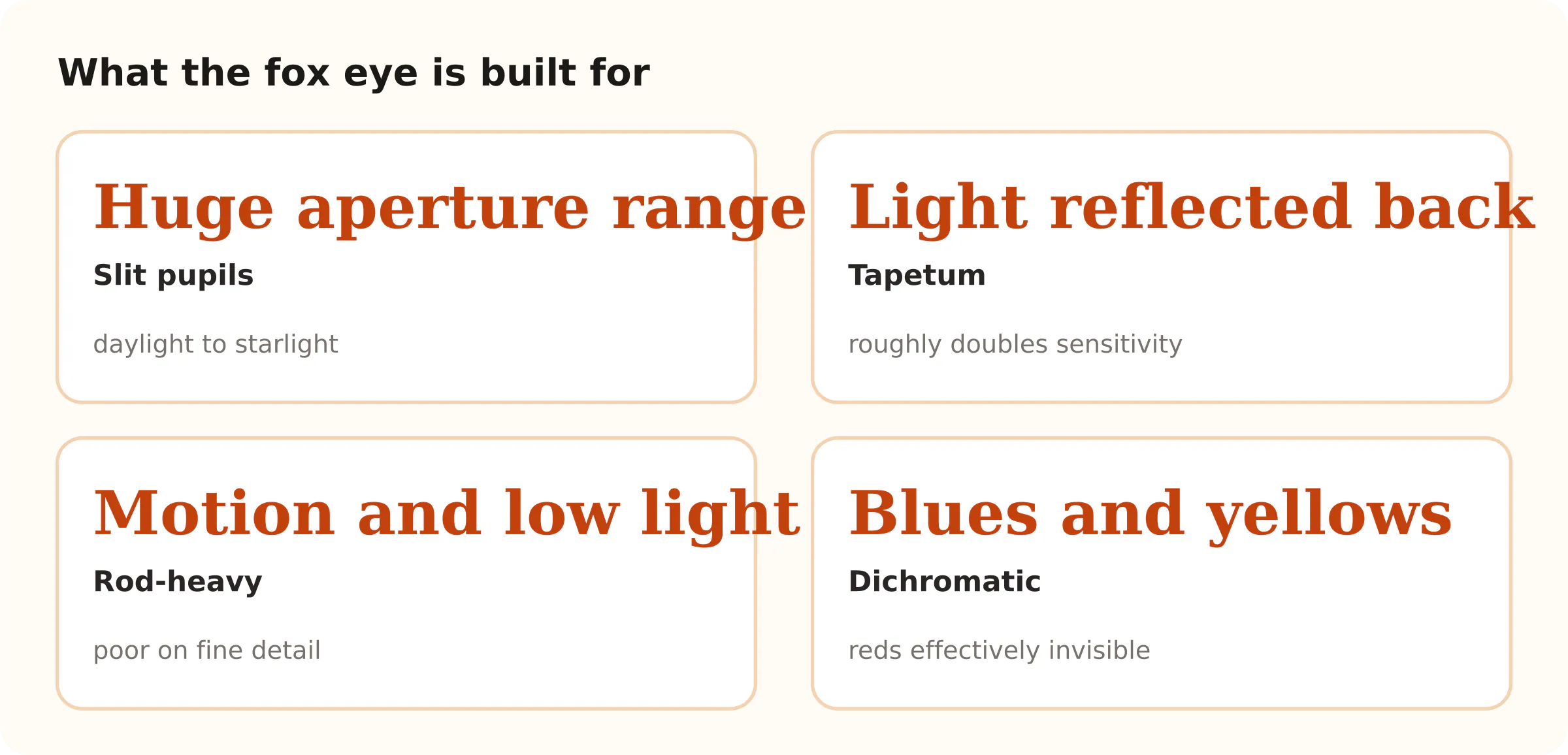 What the fox eye is built for. Huge aperture range Slit pupils; Light reflected back Tapetum; Motion and low light Rod-heavy; Blues and yellows Dichromatic