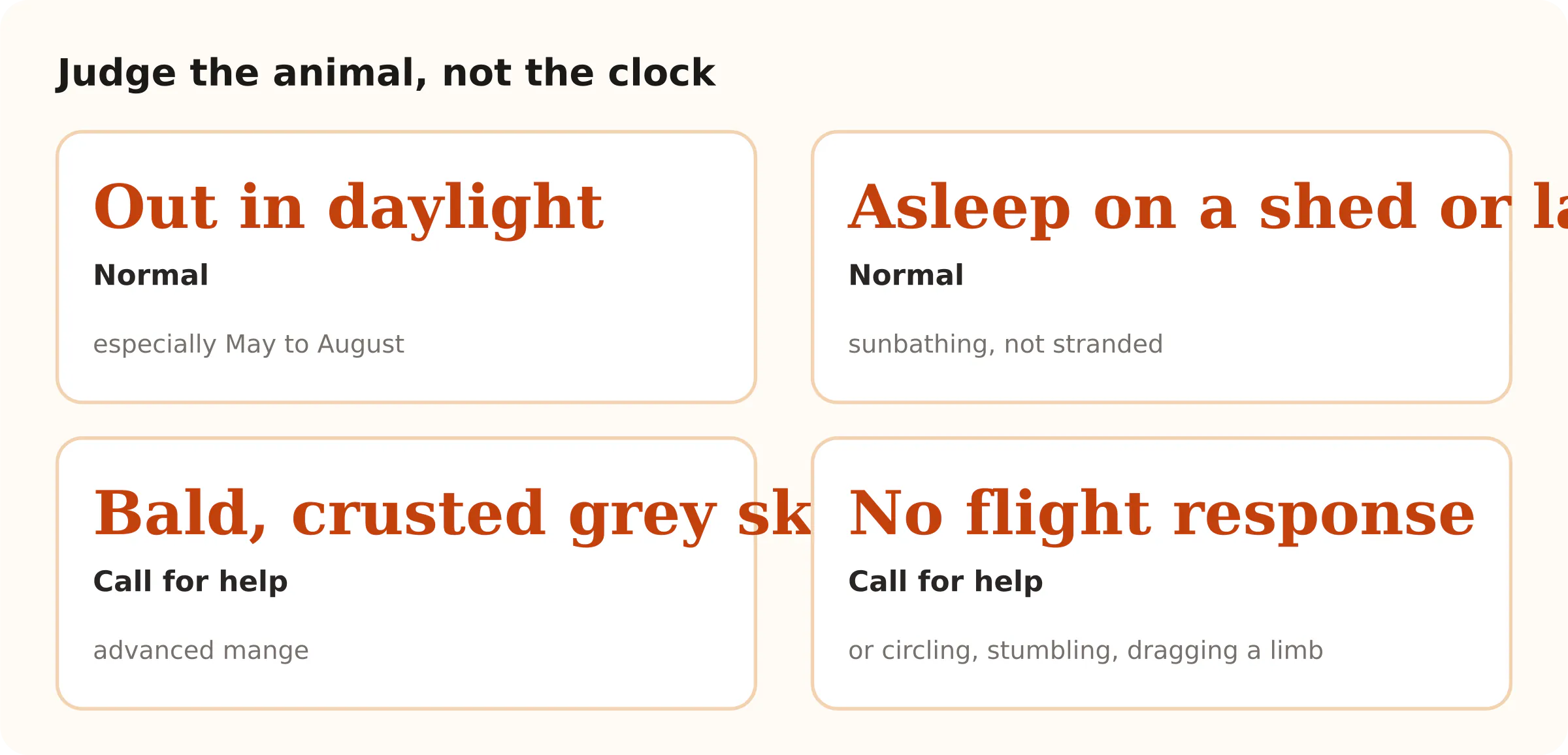 Judge the animal, not the clock. Out in daylight Normal; Asleep on a shed or lawn Normal; Bald, crusted grey skin Call for help; No flight response Call for help