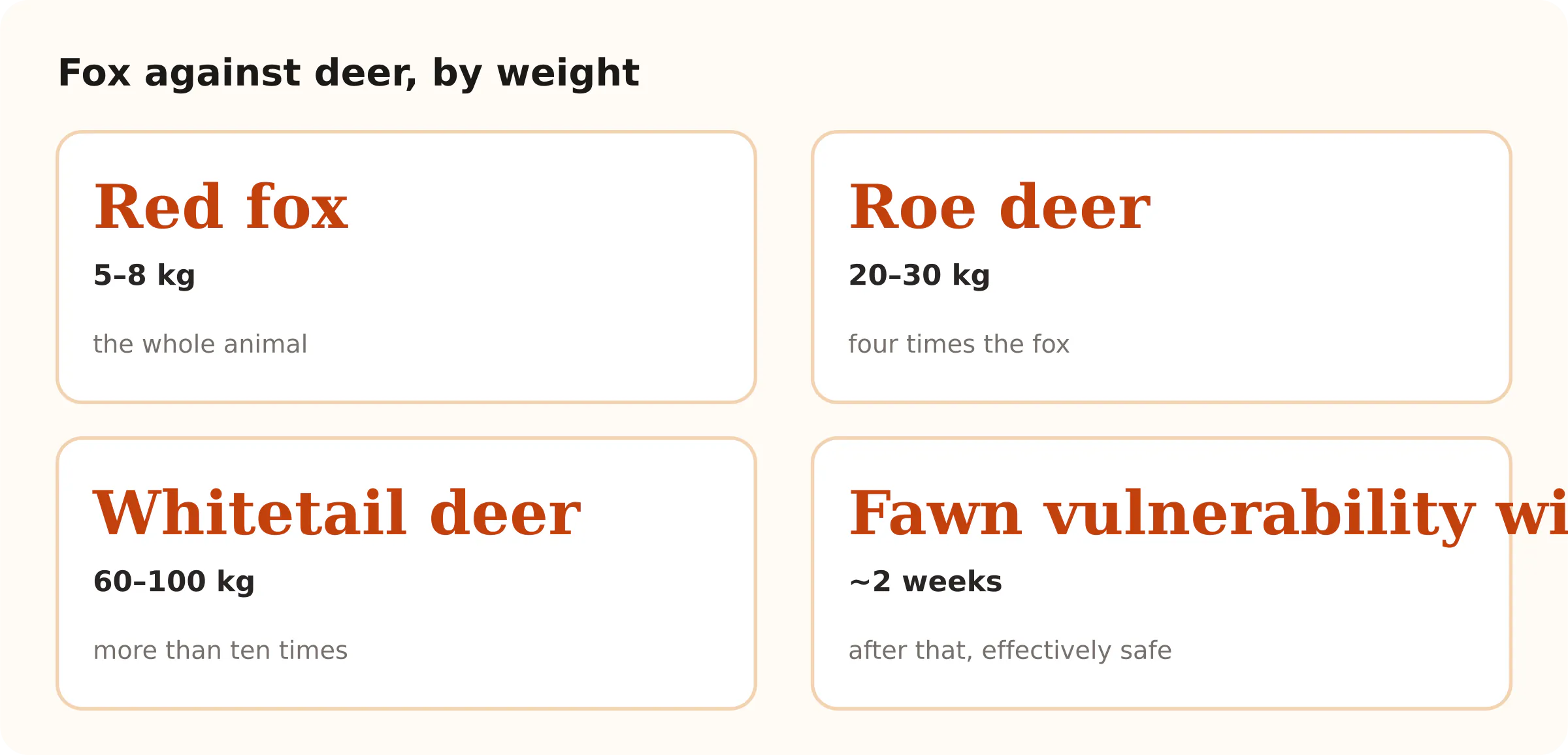 Fox against deer, by weight. Red fox 5–8 kg; Roe deer 20–30 kg; Whitetail deer 60–100 kg; Fawn vulnerability window ~2 weeks