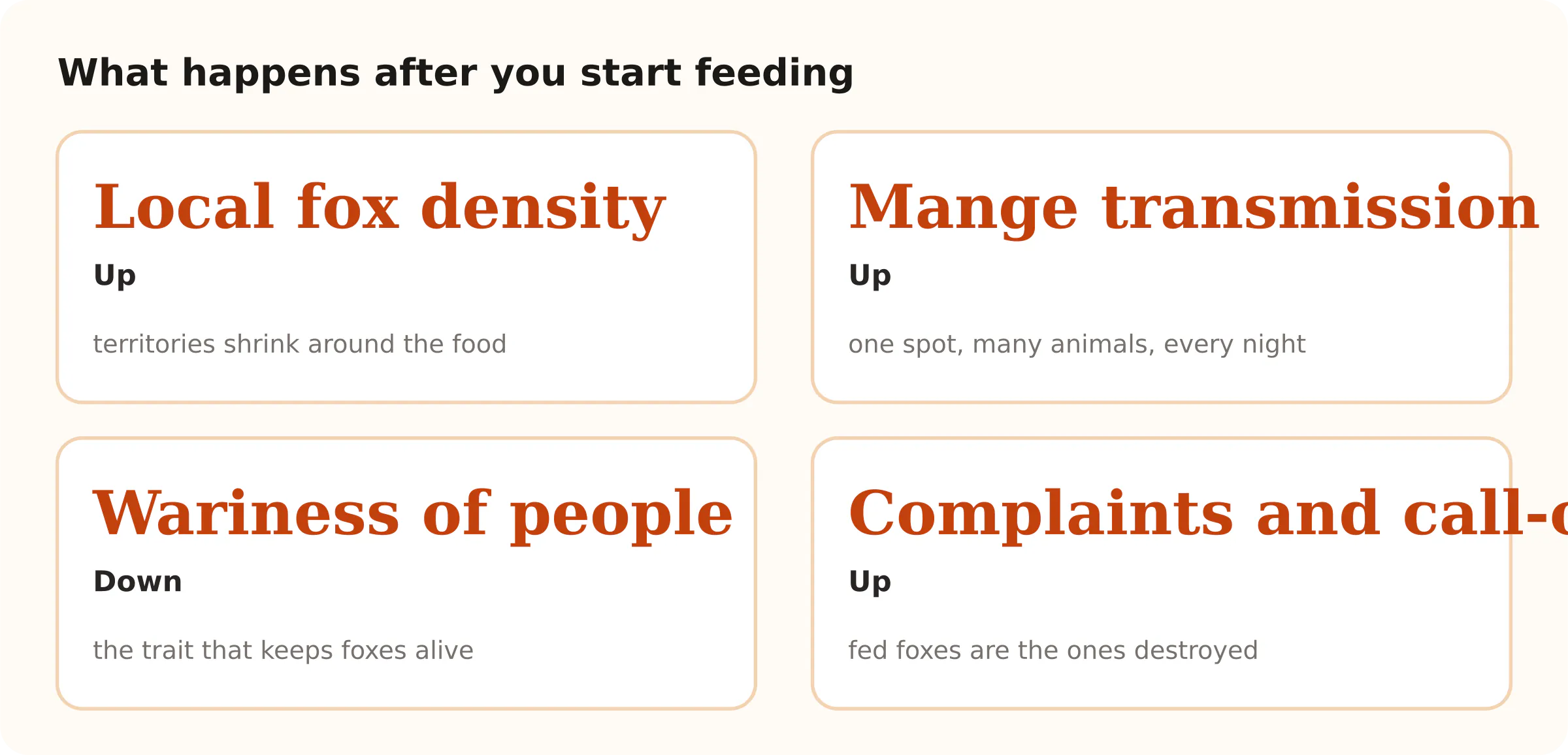 What happens after you start feeding. Local fox density Up; Mange transmission Up; Wariness of people Down; Complaints and call-outs Up