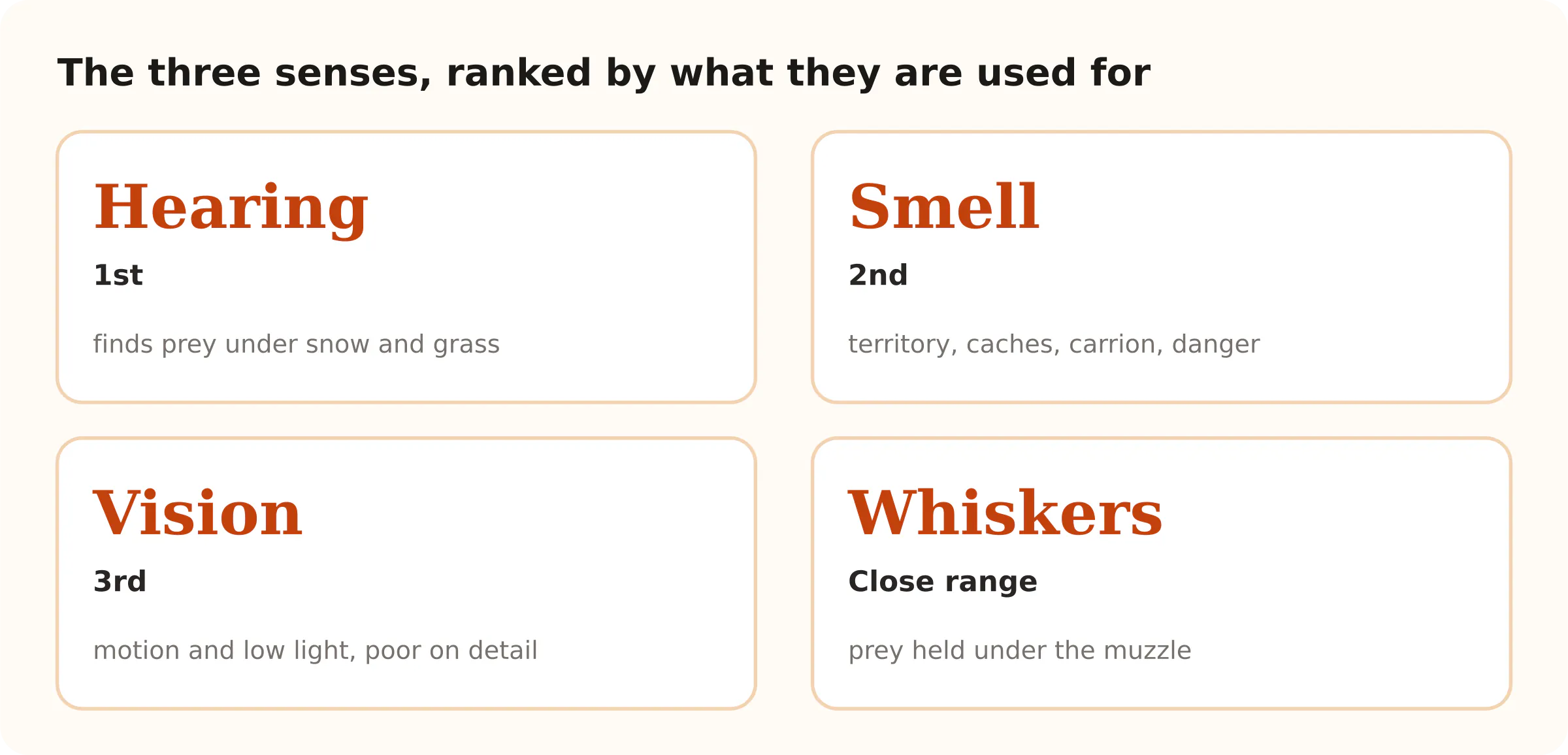 The three senses, ranked by what they are used for. Hearing 1st; Smell 2nd; Vision 3rd; Whiskers Close range