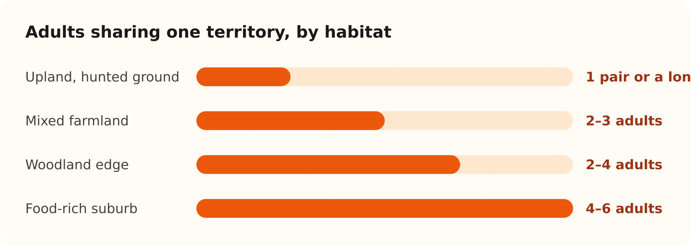 Adults sharing one territory, by habitat. Upland, hunted ground: 1 pair or a lone fox; Mixed farmland: 2–3 adults; Woodland edge: 2–4 adults; Food-rich suburb: 4–6 adults