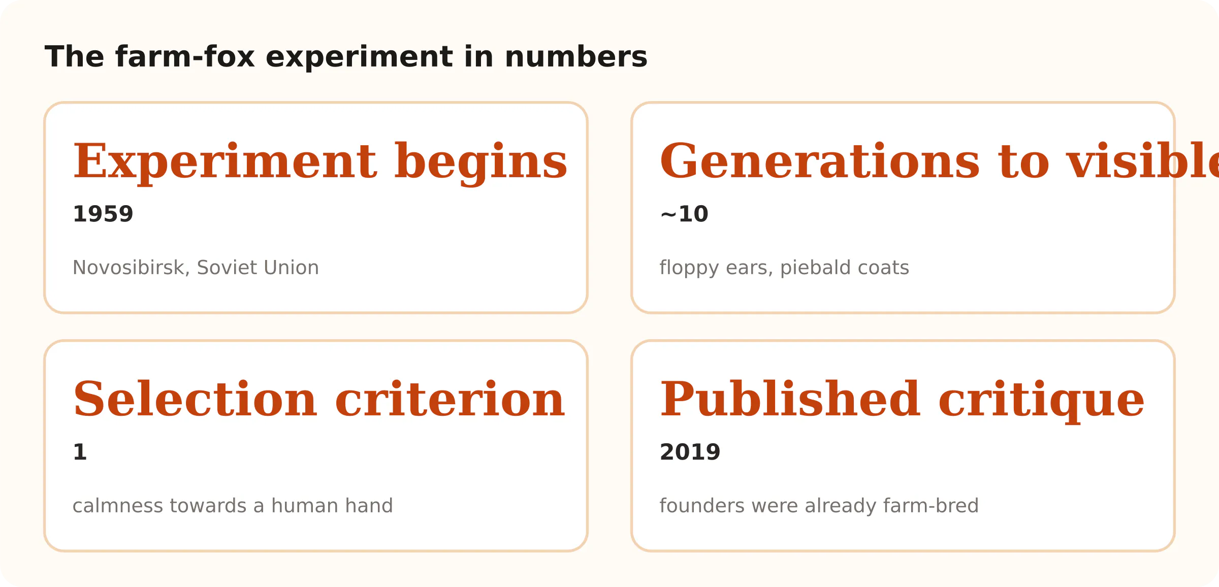 The farm-fox experiment in numbers. Experiment begins 1959; Generations to visible change ~10; Selection criterion 1; Published critique 2019