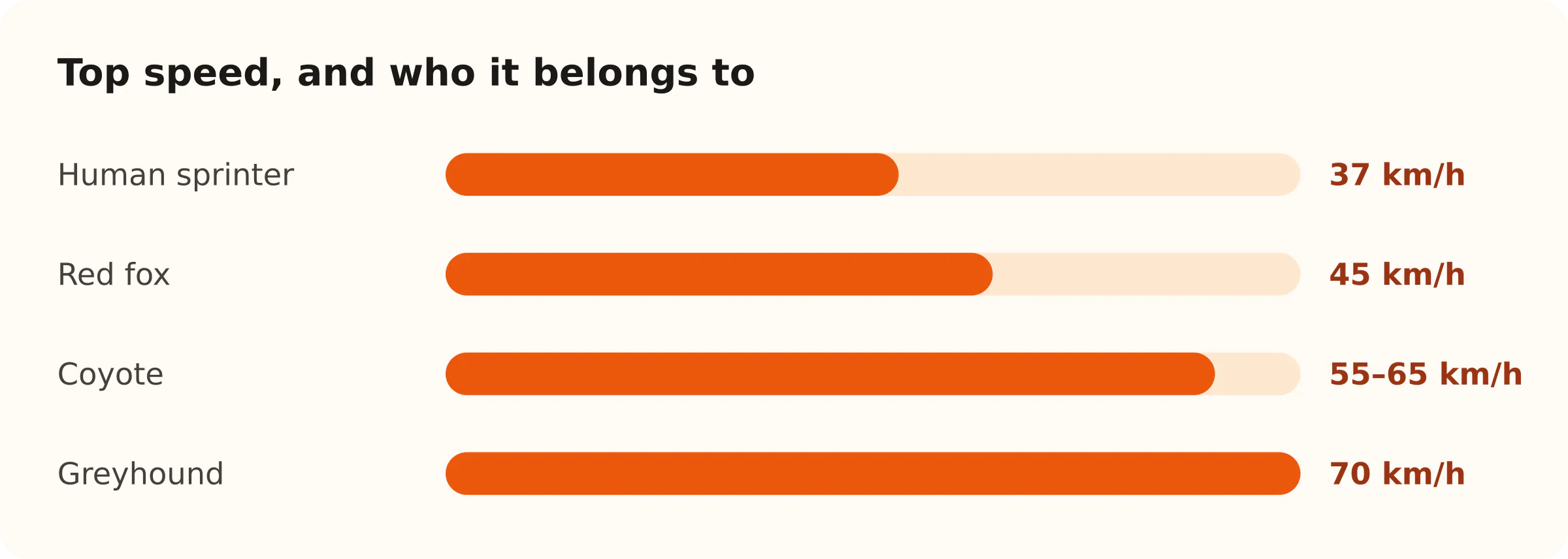 Top speed, and who it belongs to. Human sprinter: 37 km/h; Red fox: 45 km/h; Coyote: 55–65 km/h; Greyhound: 70 km/h