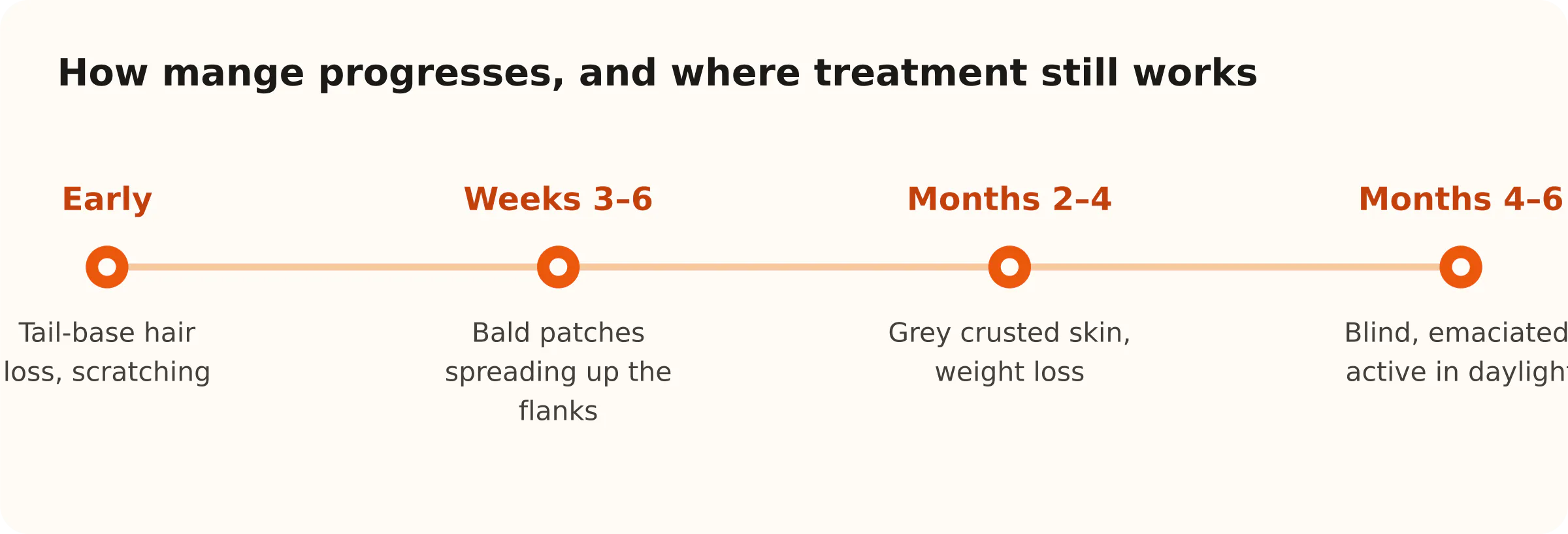 How mange progresses, and where treatment still works. Early: Tail-base hair loss, scratching; Weeks 3–6: Bald patches spreading up the flanks; Months 2–4: Grey crusted skin, weight loss; Months 4–6: Blind, emaciated, active in daylight