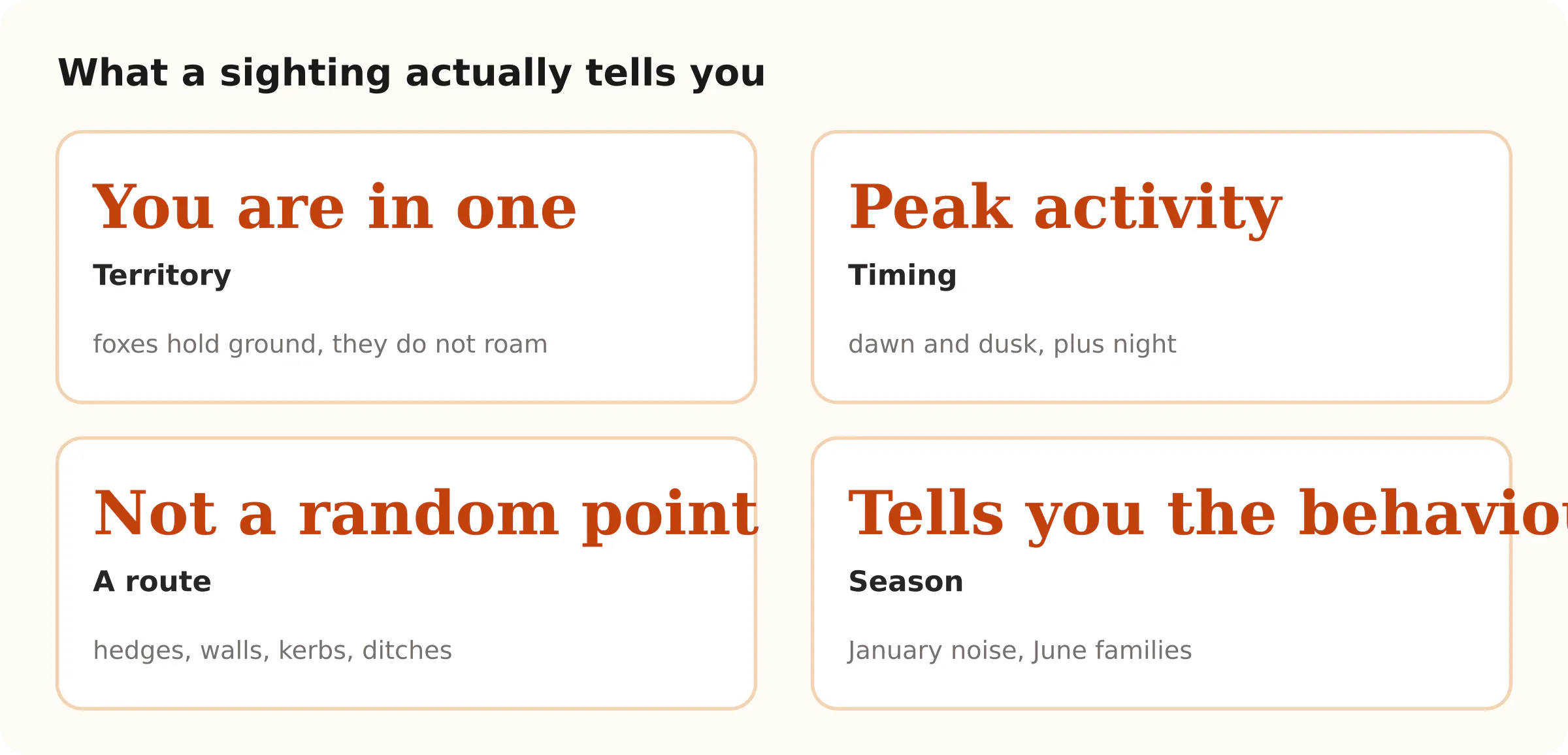 What a sighting actually tells you. You are in one Territory; Peak activity Timing; Not a random point A route; Tells you the behaviour Season