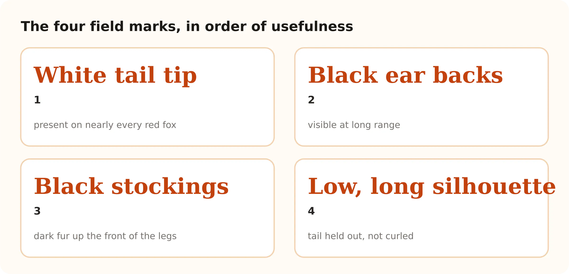 The four field marks, in order of usefulness. White tail tip 1; Black ear backs 2; Black stockings 3; Low, long silhouette 4