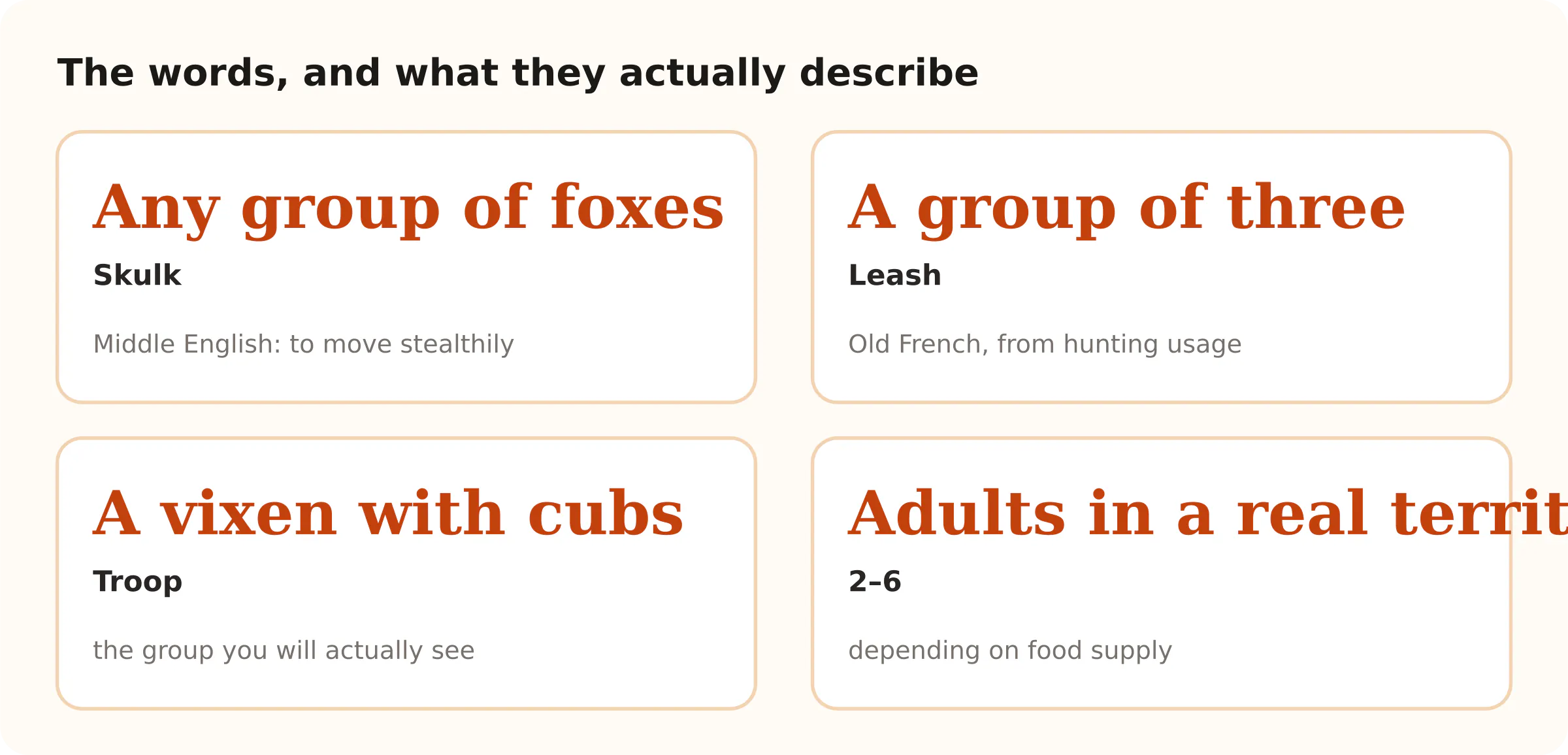 The words, and what they actually describe. Any group of foxes Skulk; A group of three Leash; A vixen with cubs Troop; Adults in a real territory 2–6